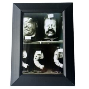 Anatomy Vintage Oddity Shelf Curiosities Gothic Werid Creepie Horror Sci Fi Art